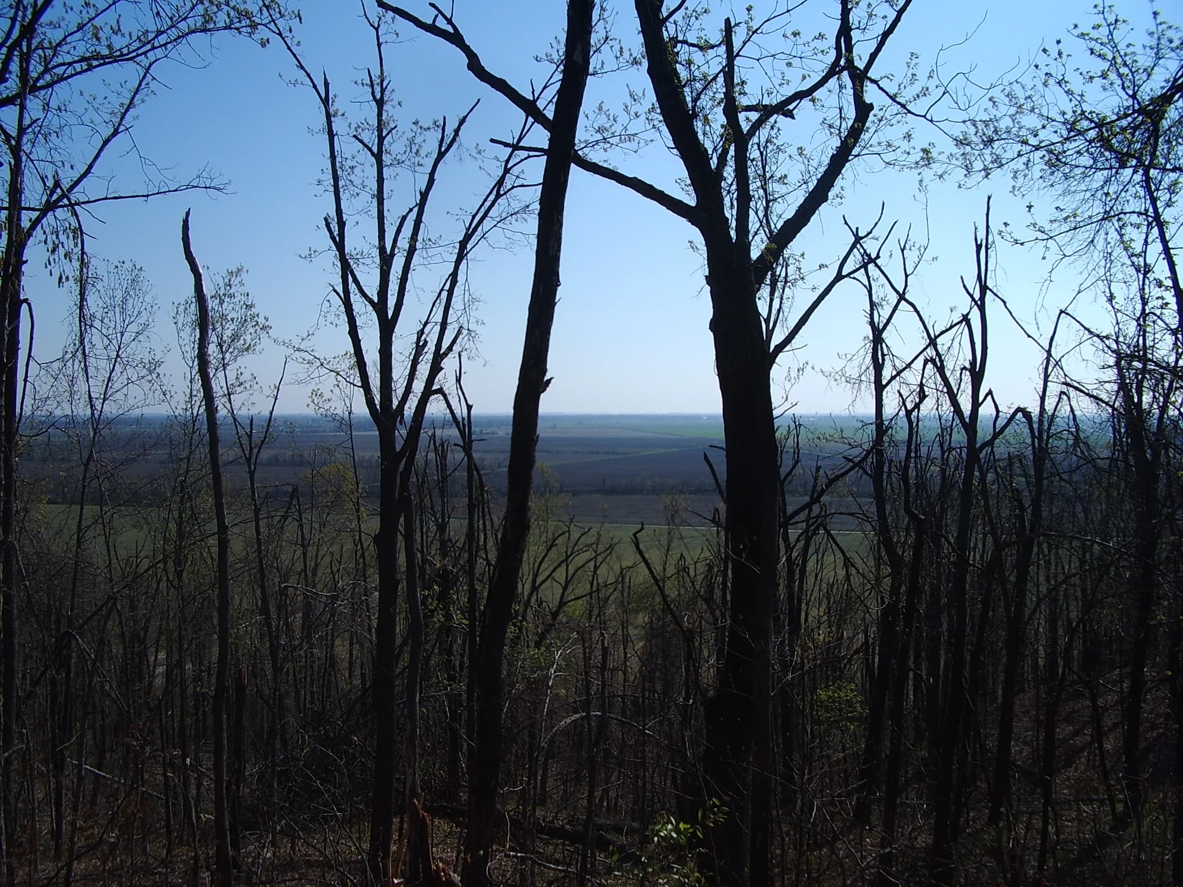 The view from Crowley’s Ridge over the flat Bootheel at Morris State Park